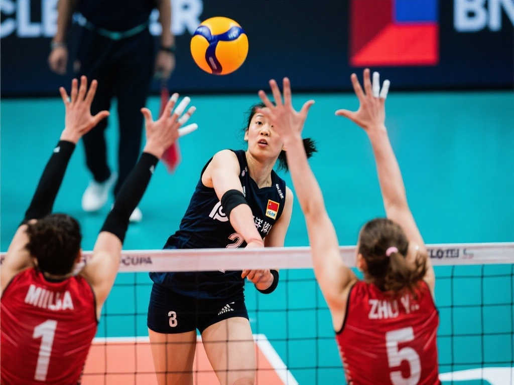 众和粉丝 众和粉丝